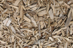 biomass boilers Wooth